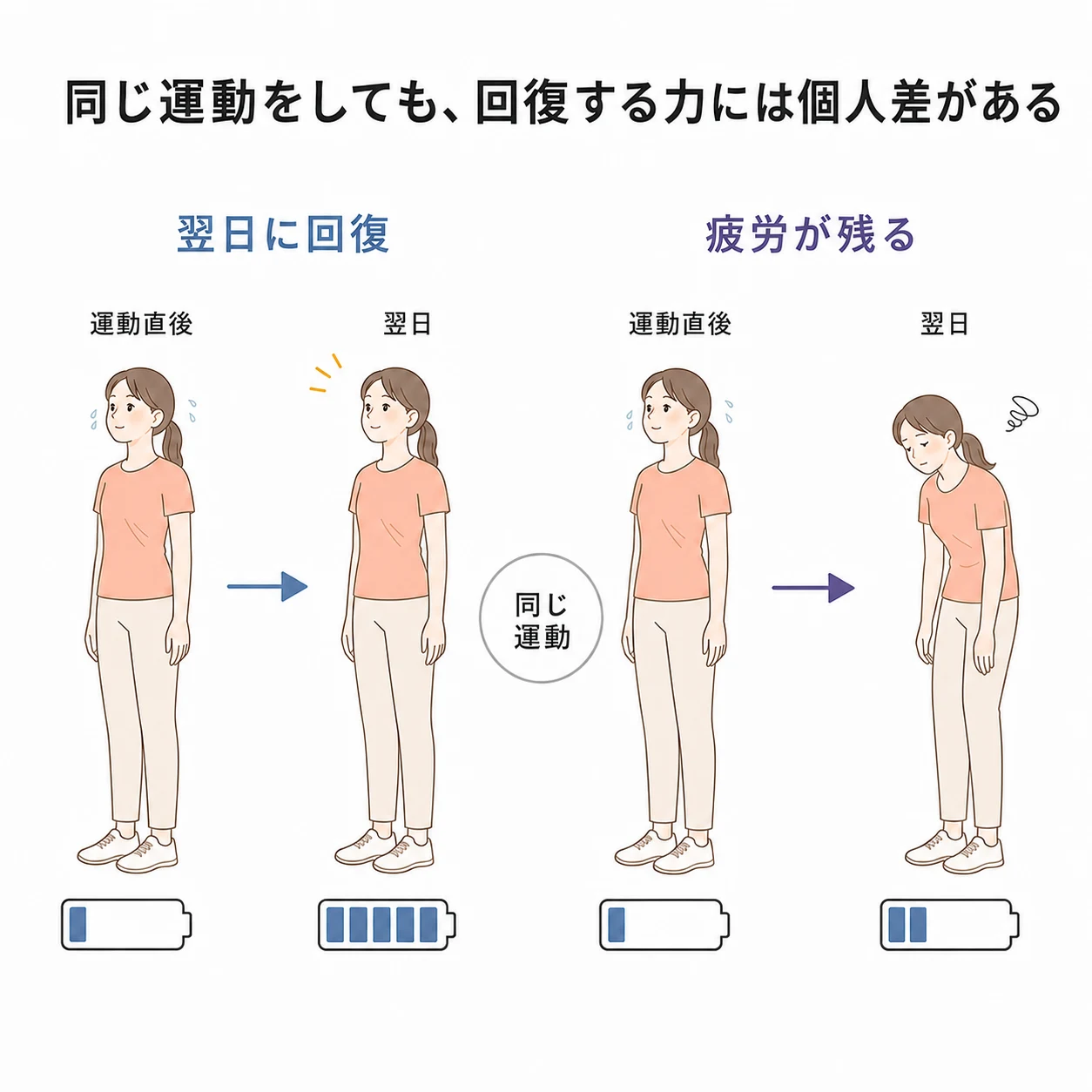 運動直後は同じように消耗していても、翌日までの回復量には個人差があることを示す図解