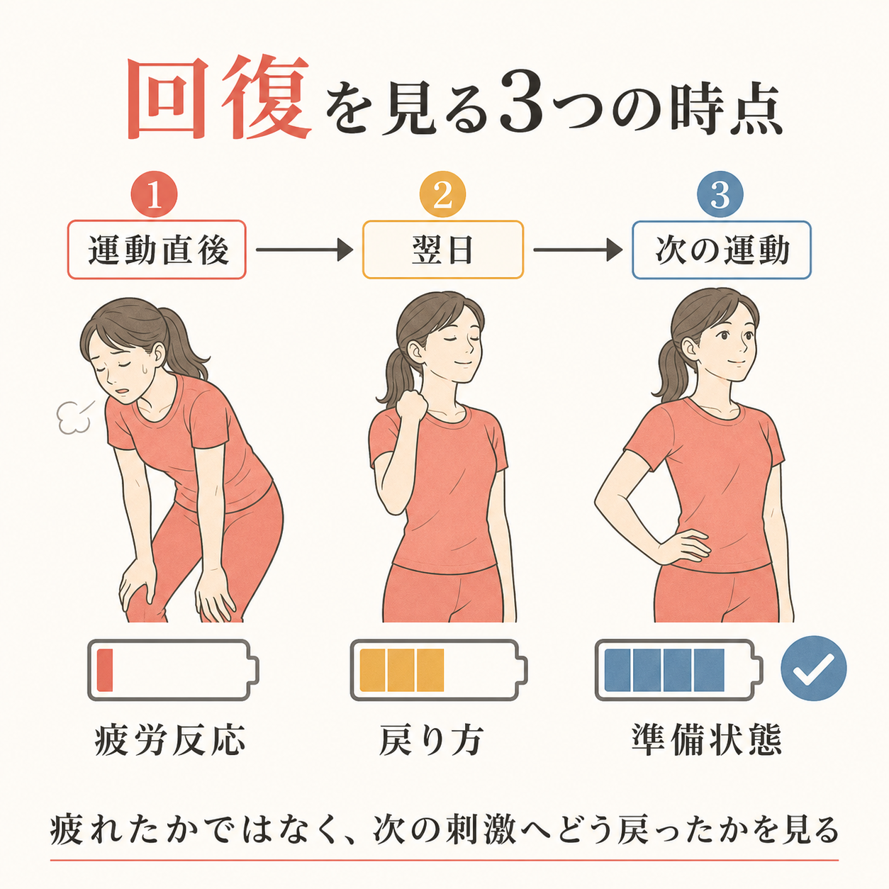 運動直後から翌日、次の運動までの回復経過を示す図解