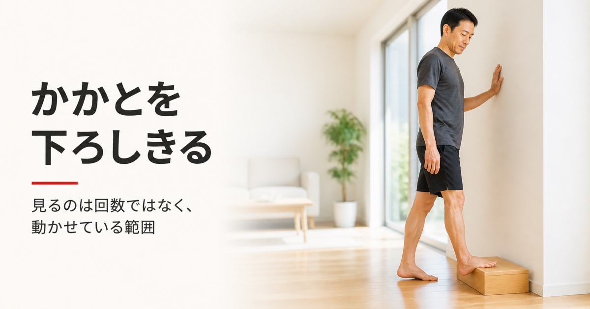 ふくらはぎ 筋トレ｜FV