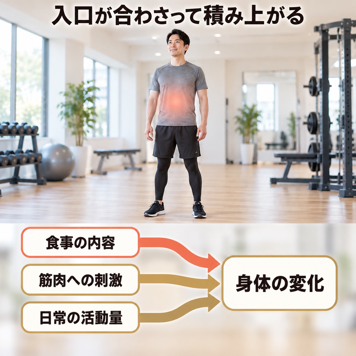 痩せたい ジム｜メカニズム｜身体が変わる3つの入口