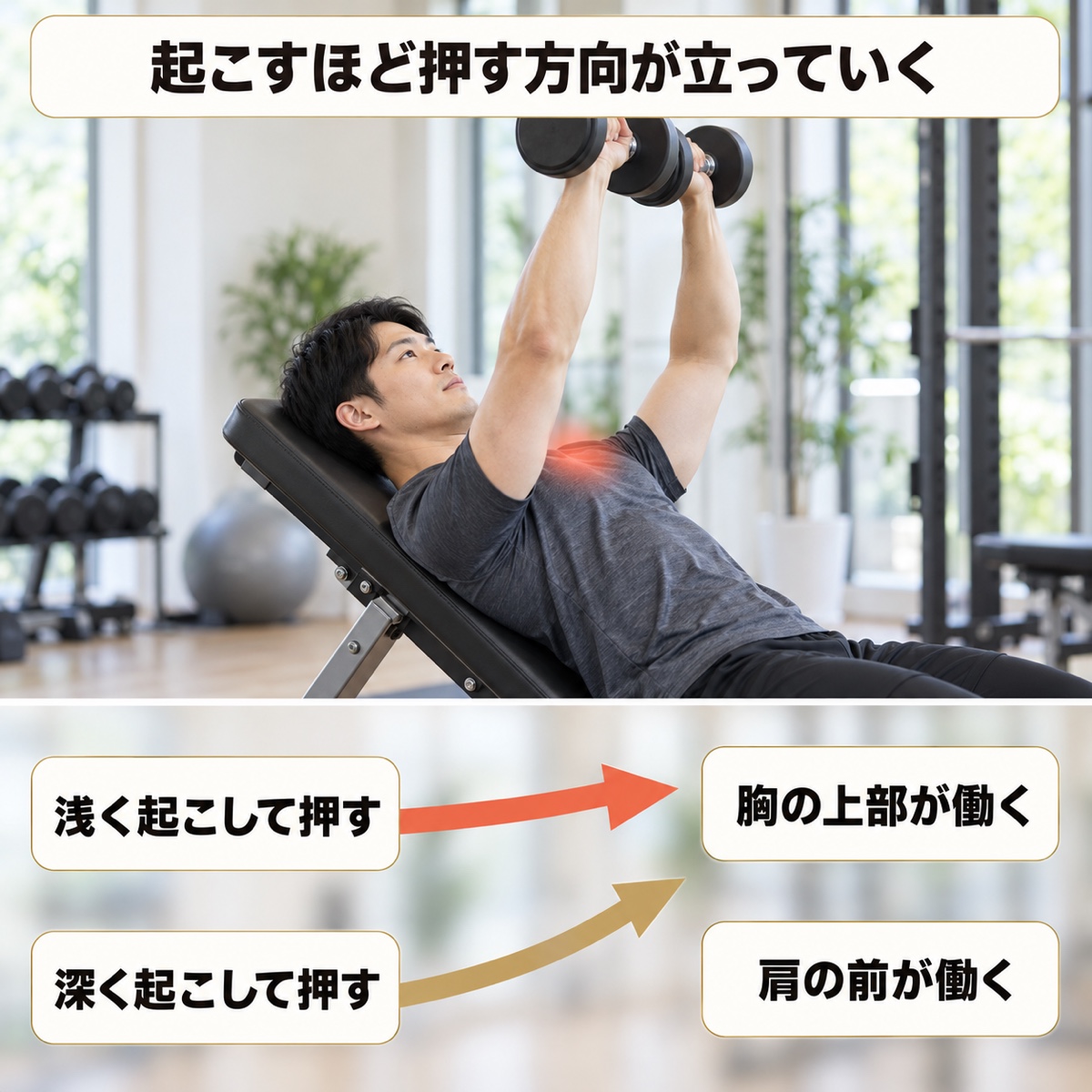 インクラインダンベルプレス 角度｜メカニズム｜起こすほど働く場所が移っていく