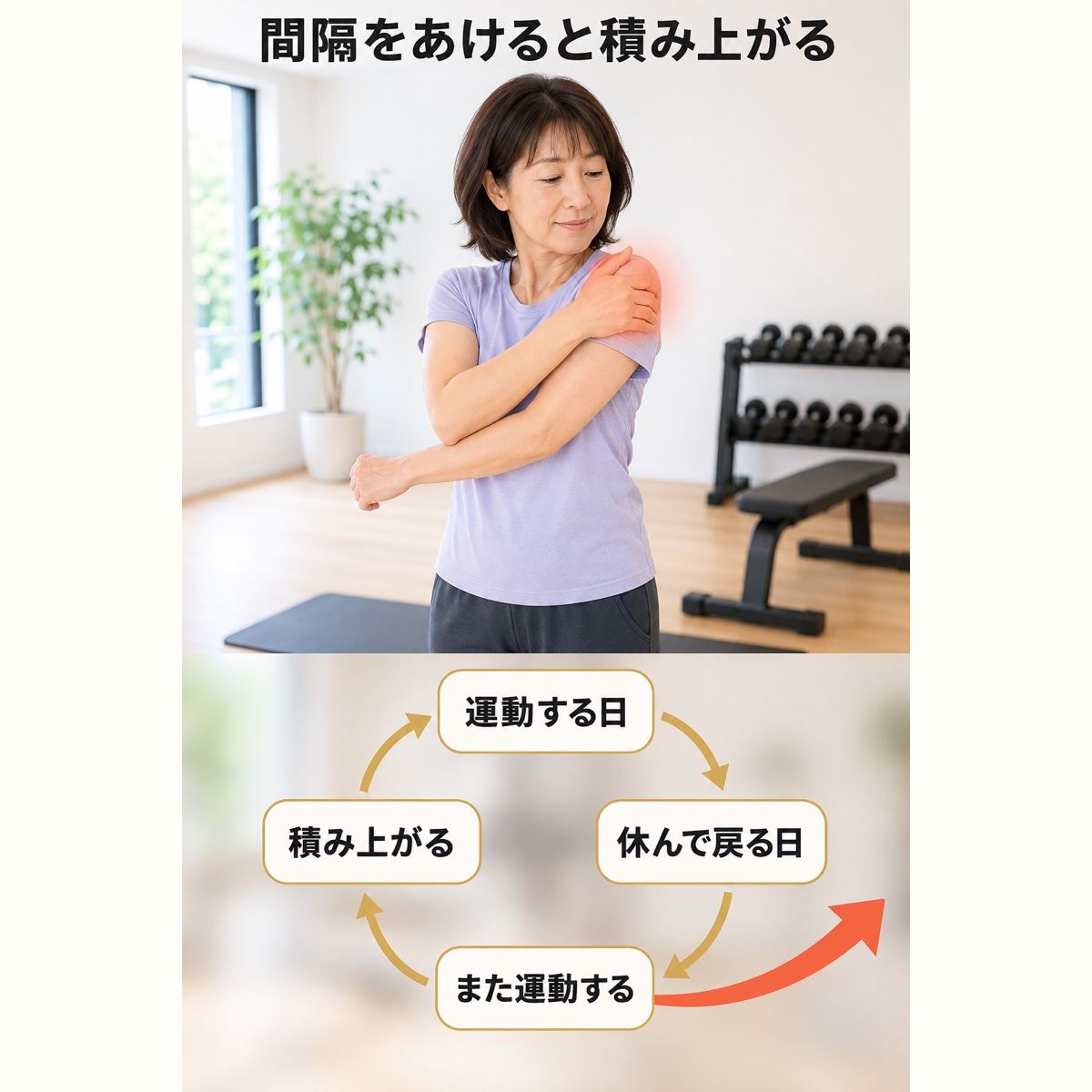 筋トレ 週何回｜メカニズム｜運動と休みの間隔